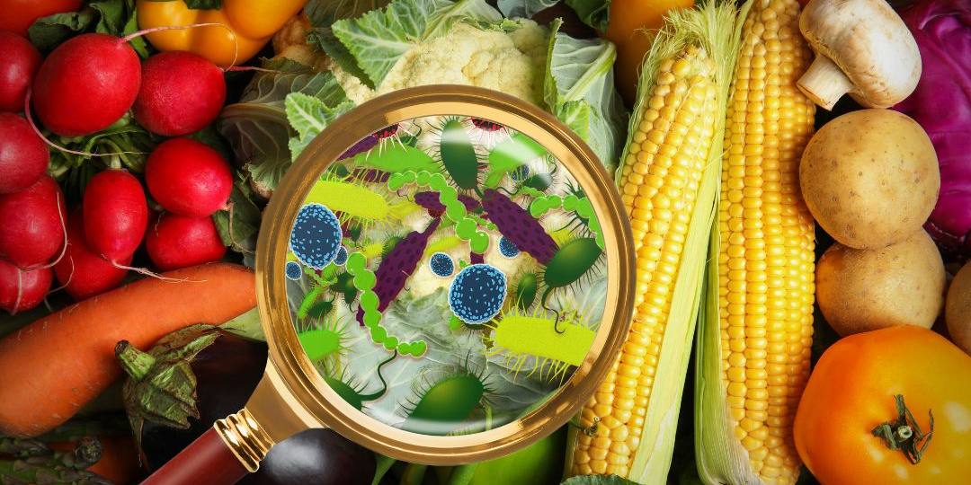 Diseño sin título (17)